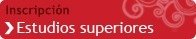 ins_estudios_superiores