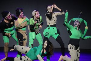 Presentacion Farandula (7)